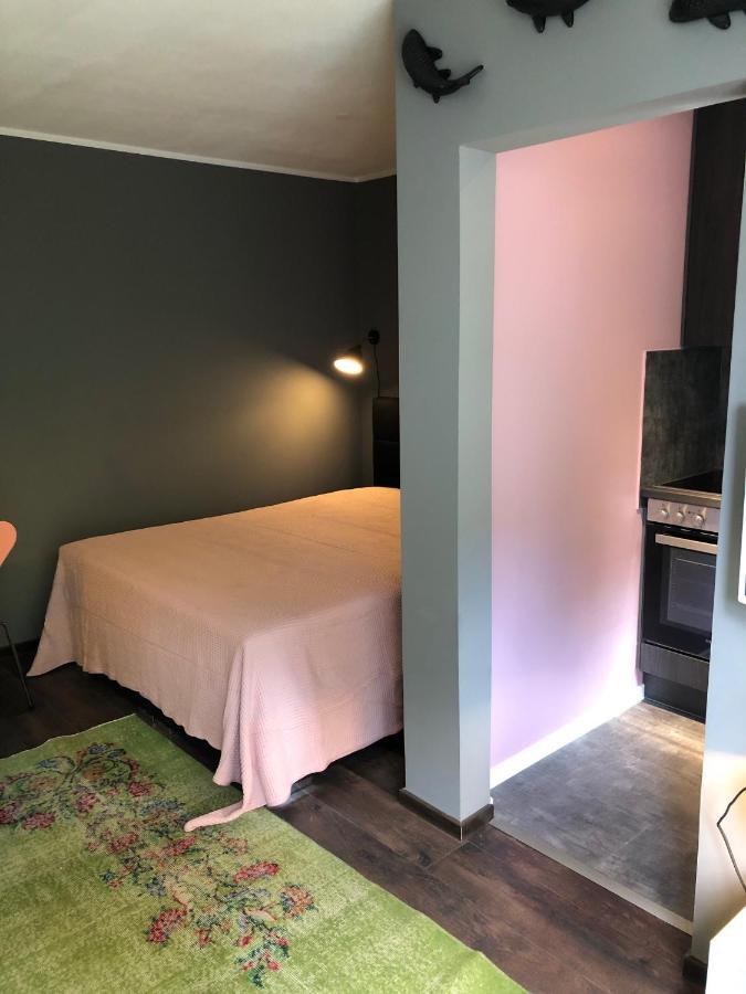 Studio Apartment In Dresden-Neustadt Extérieur photo